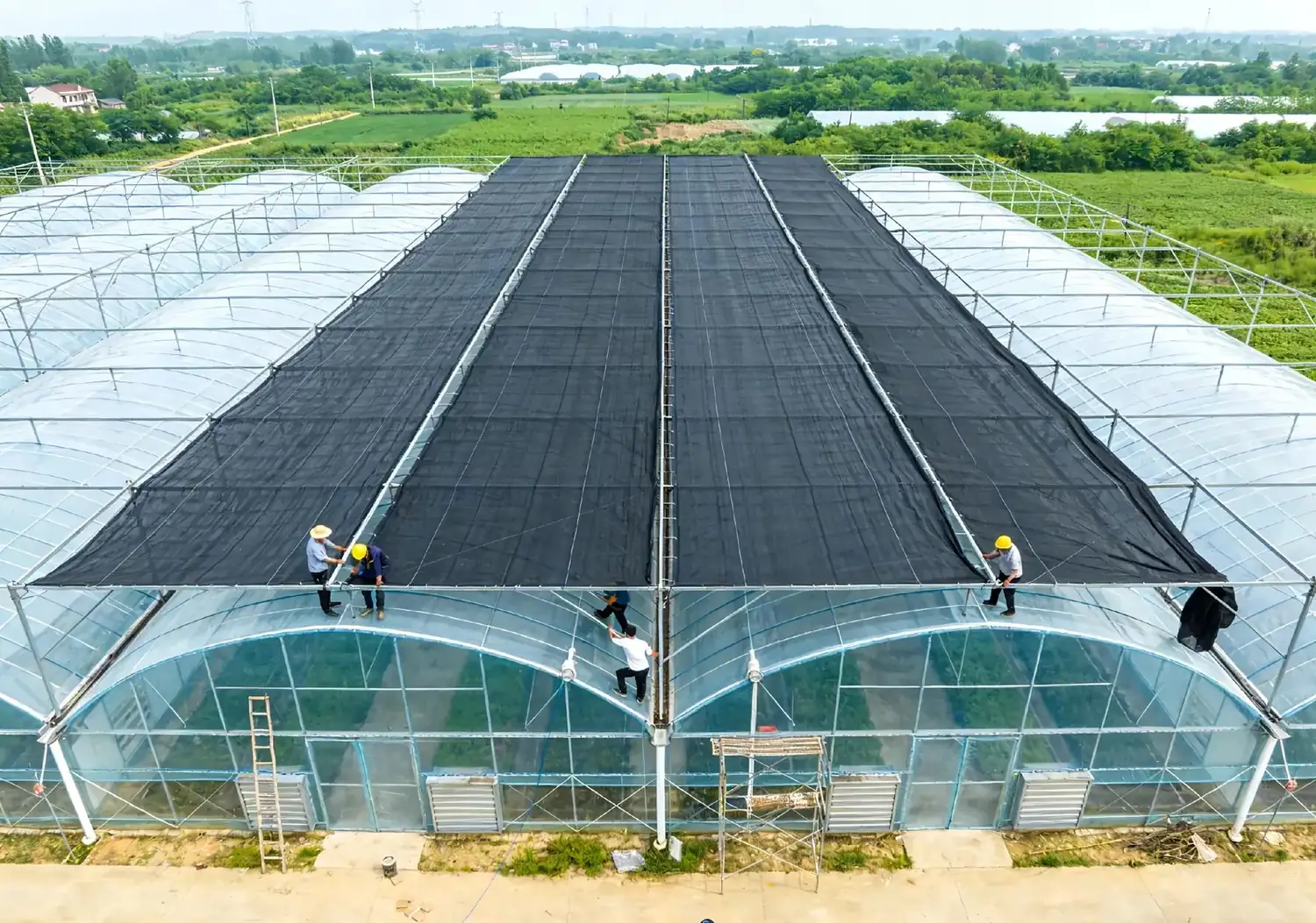 Film Greenhouse