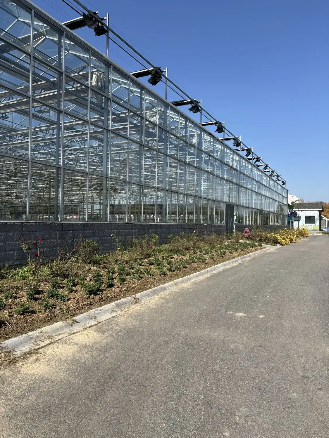 Glass Greenhouse