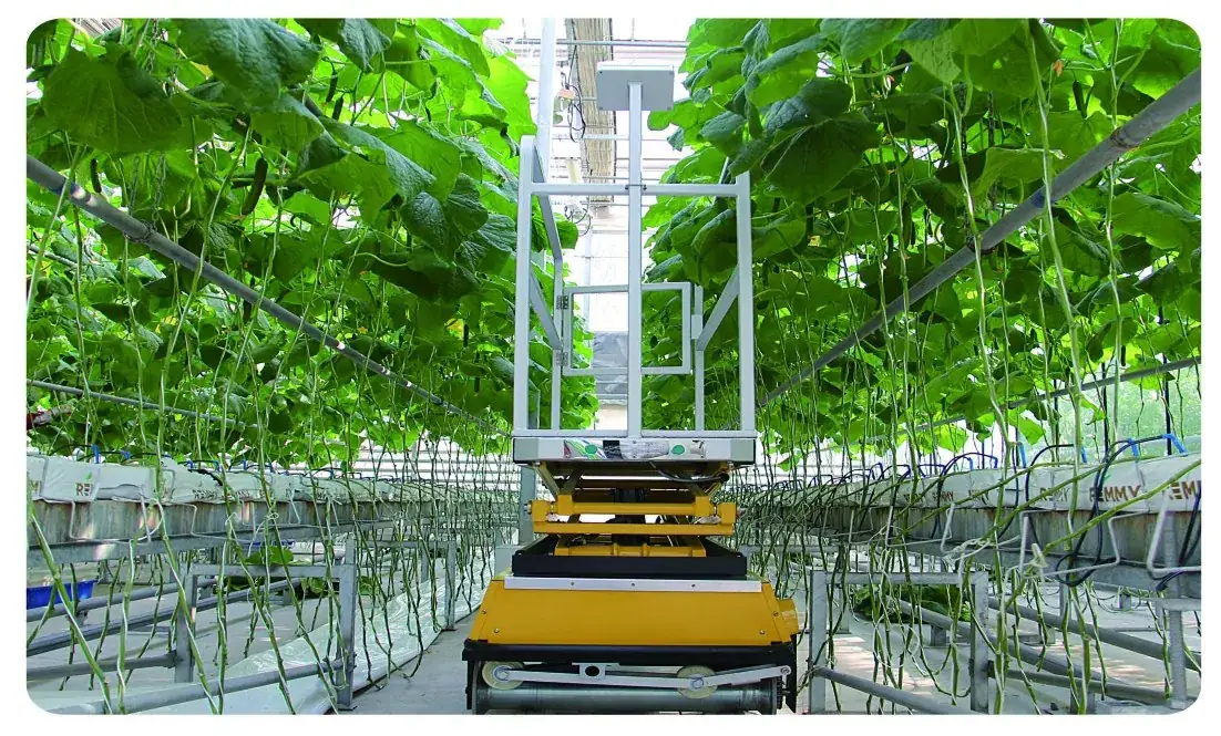 Control & Climate Systems