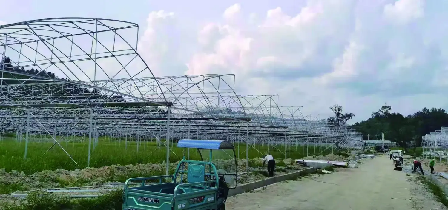 Gansu Zhangye Modern Agriculture Park